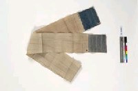 藏品(丁字帶)的圖片